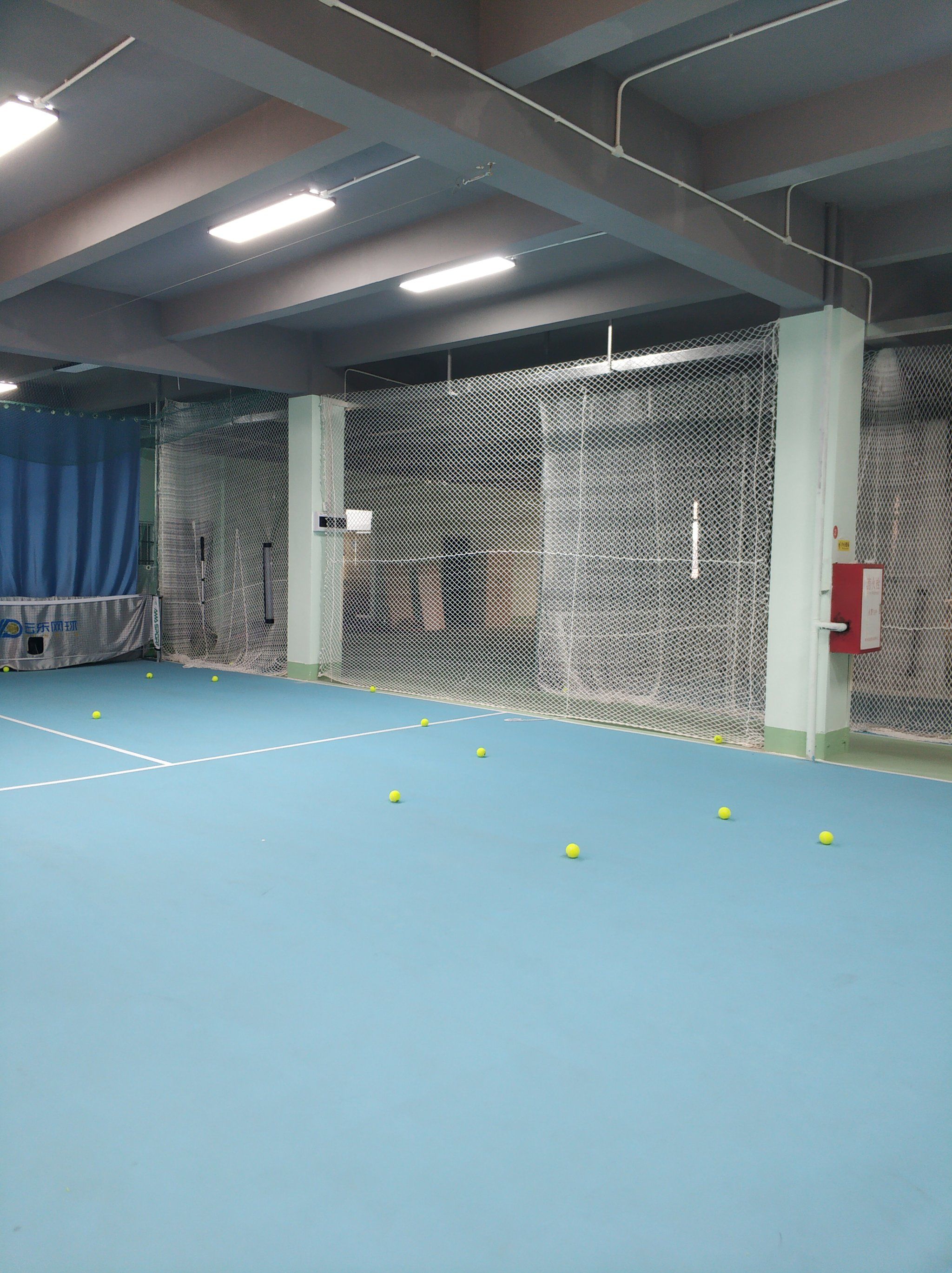 训练调整 训练调整