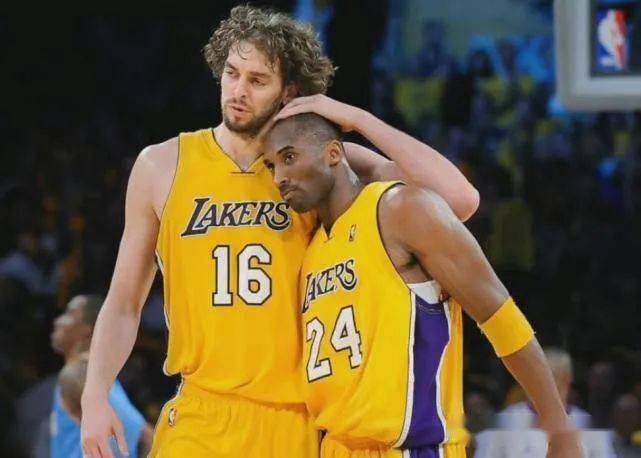 新的认知 新的认知